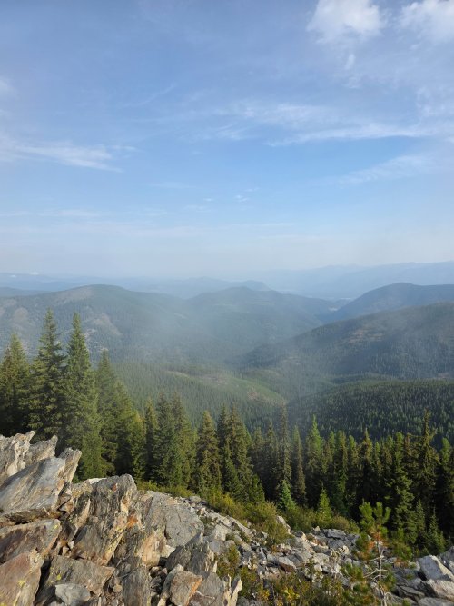 20260815_091515.jpg