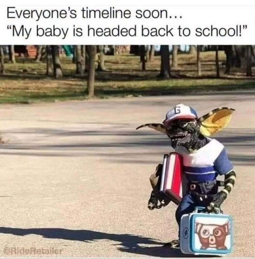 1000029077.jpg
