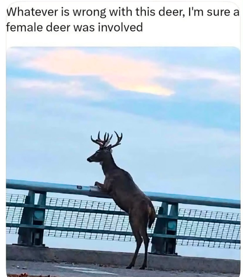 1787245879013.png