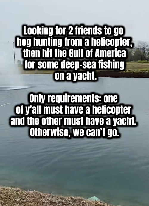 1787261520317.png