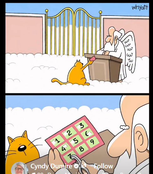 1787279719595.png