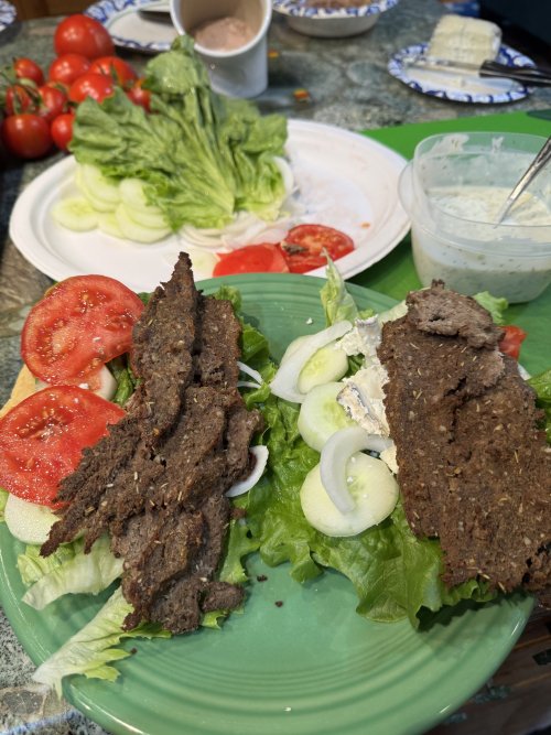 Moose Gyro.jpeg Moose Gyro.jpeg