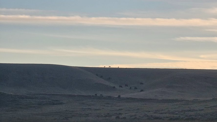 20251018_175437.jpg