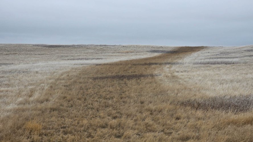 20251128_103637.jpg 20251128_103637.jpg