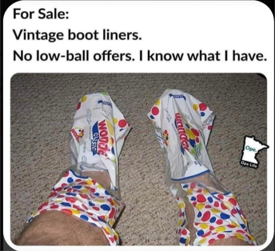 Boot Liners.png