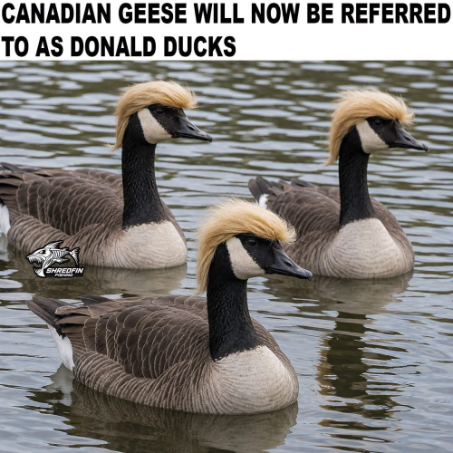 1788182002056.png