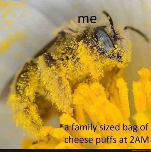 1000029635.jpg