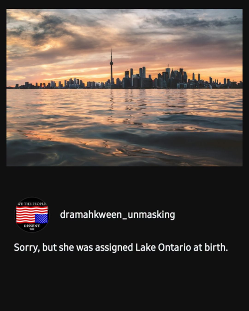 1788528099362.png