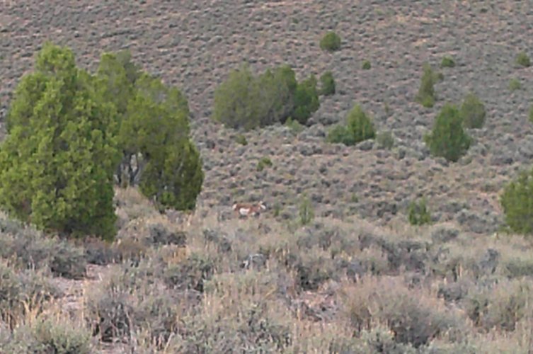DSCF0027.JPG