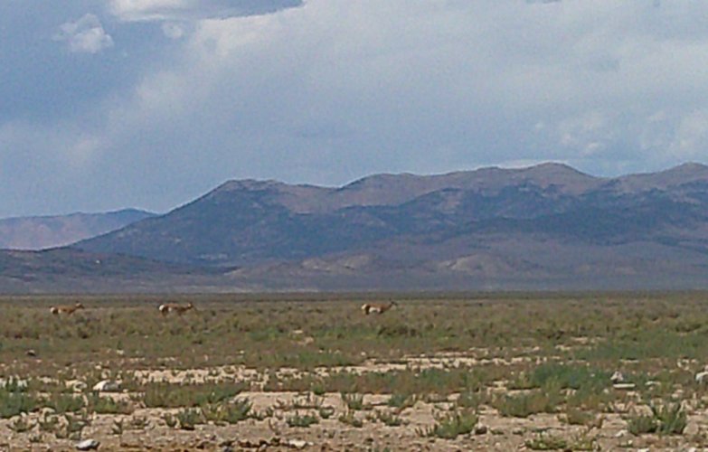 DSCF0023.JPG