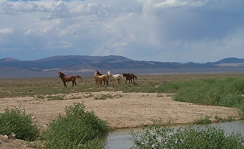 DSCF0026.JPG