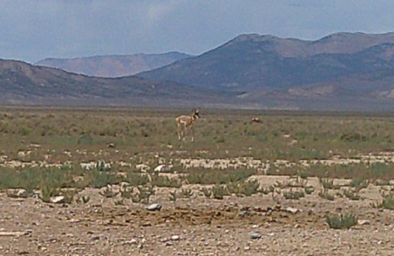 DSCF0024.JPG