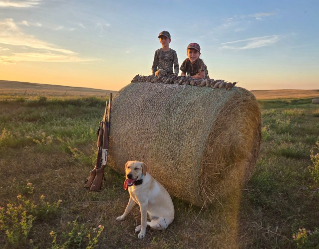 20260905_190315.jpg 20260905_190315.jpg