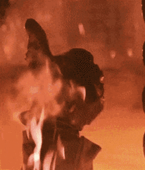 gif.gif gif.gif