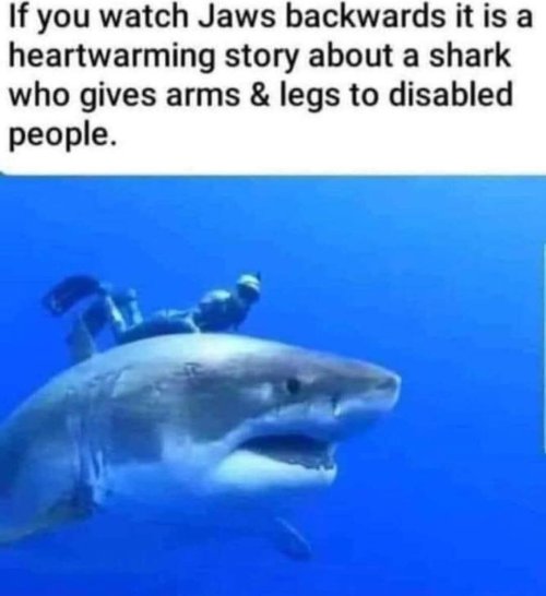 FB_IMG_1789260759869.jpg