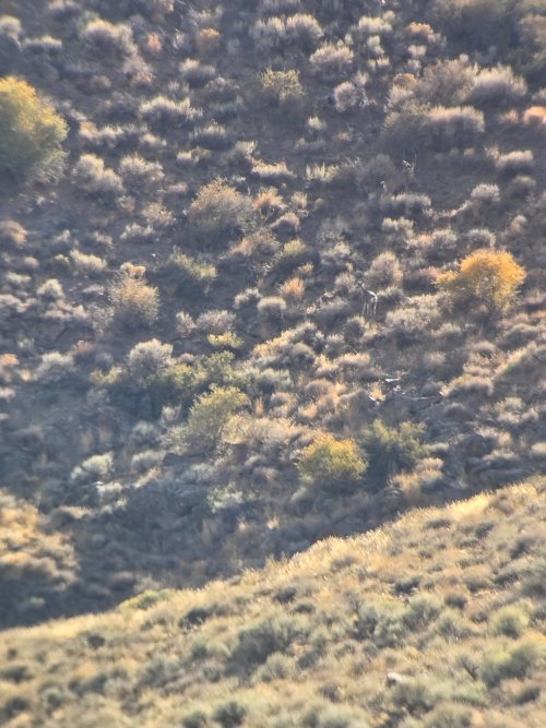 20260911_154452.jpg