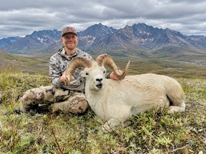 Sheep hunt 6.jpg