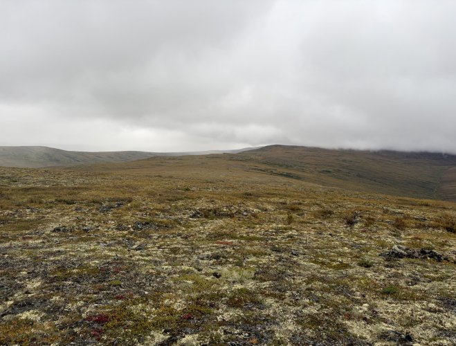 45176.jpg 45176.jpg