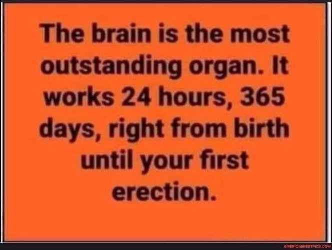 FB_IMG_1789790855777.jpg