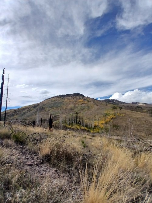 20260915_153656.jpg 20260915_153656.jpg