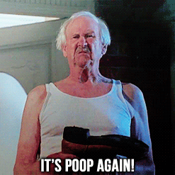 tumblr_lt0lrz0FTv1qj35bwo1_250.gif