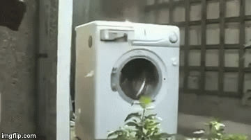 w0s69.gif