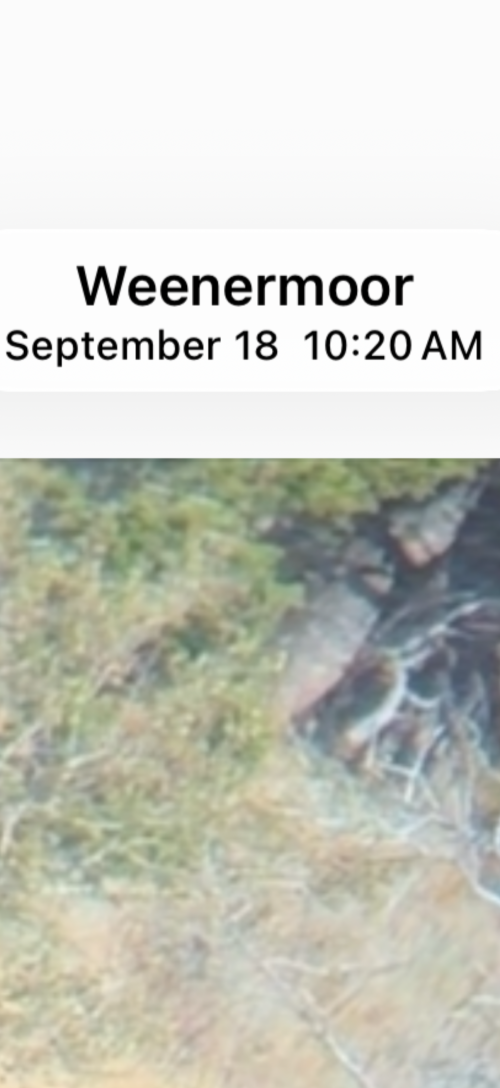 IMG_1538.png