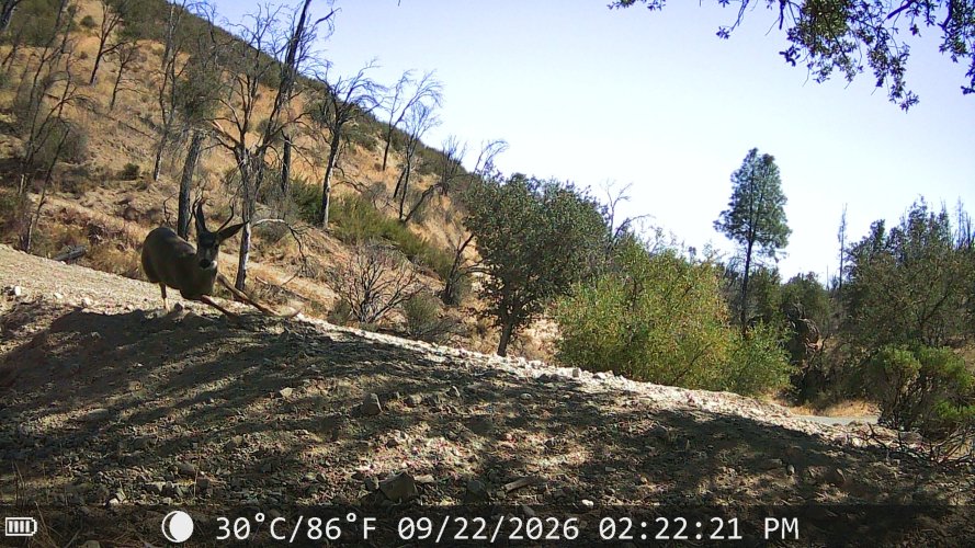 2026-09-25_14.19.11.692_010B15D5.jpg