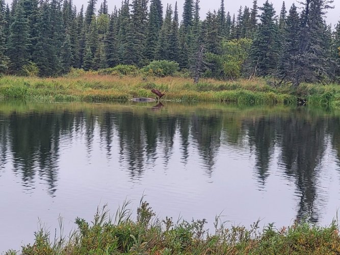 20260912_144825.jpg