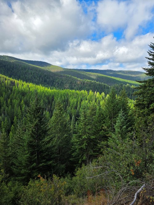 Knox creek wide photo.jpg Knox creek wide photo.jpg