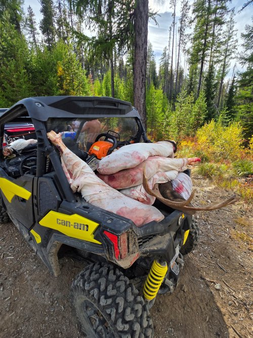 meat all loaded up.jpg meat all loaded up.jpg