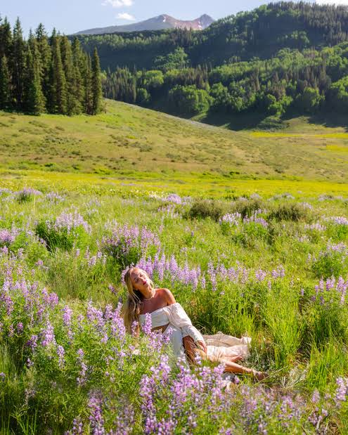 1790780715805.png 1790780715805.png