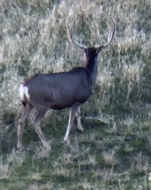 IMG_5587.jpeg