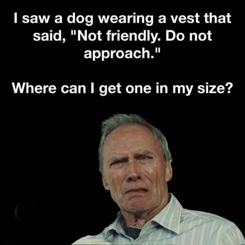 1790888501544.png