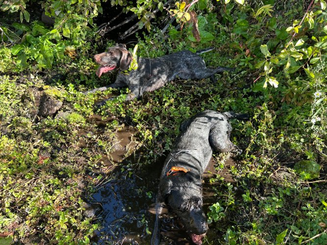 IMG_5168.jpeg