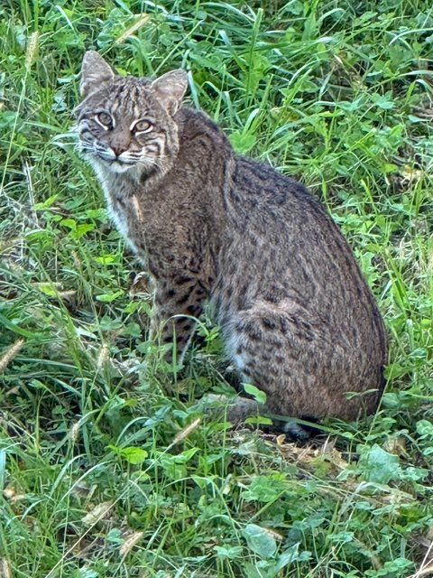 IMG_0658.jpeg