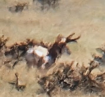 1844.jpg