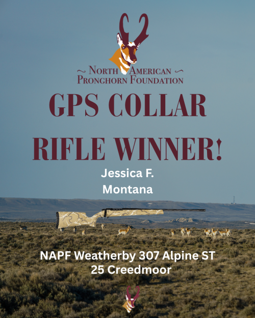 GPSCollarRifleGiveaway.png