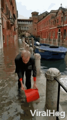 12894.gif