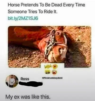 1791536473394.png