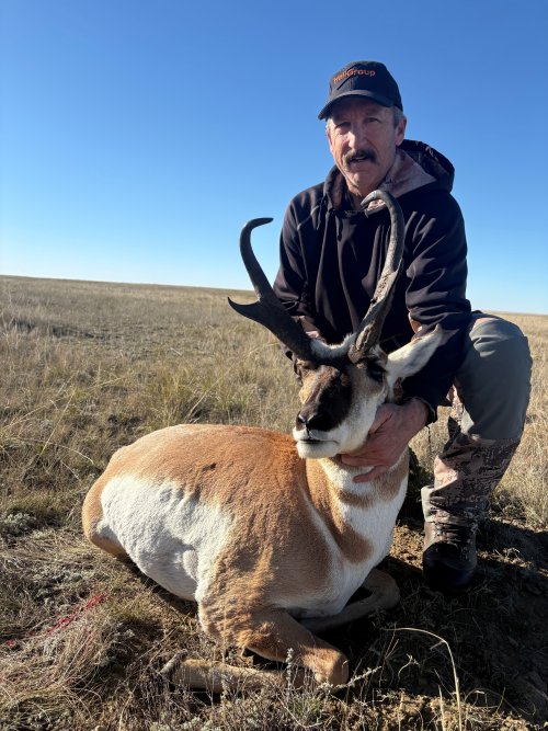 daves antelope 2026.jpg