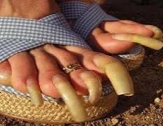 IMG_5748.jpeg