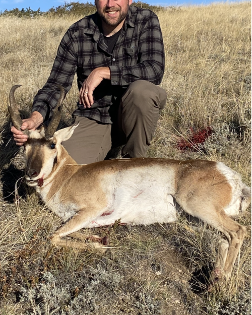 antelope screenshot.png