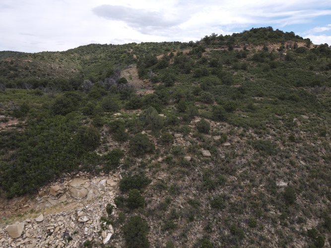 dji_fly_20230811_145826_230_1691787515418_photo.jpeg dji_fly_20230811_145826_230_1691787515418_photo.jpeg