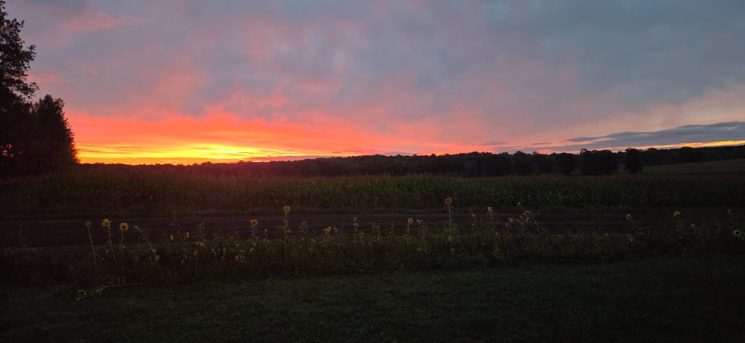 20260918_063446.jpg
