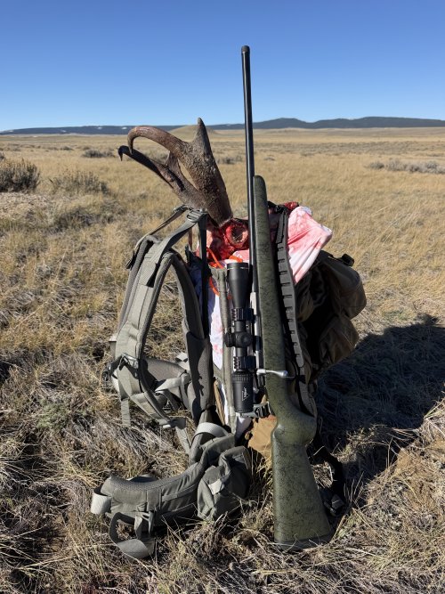 IMG_6437.jpeg