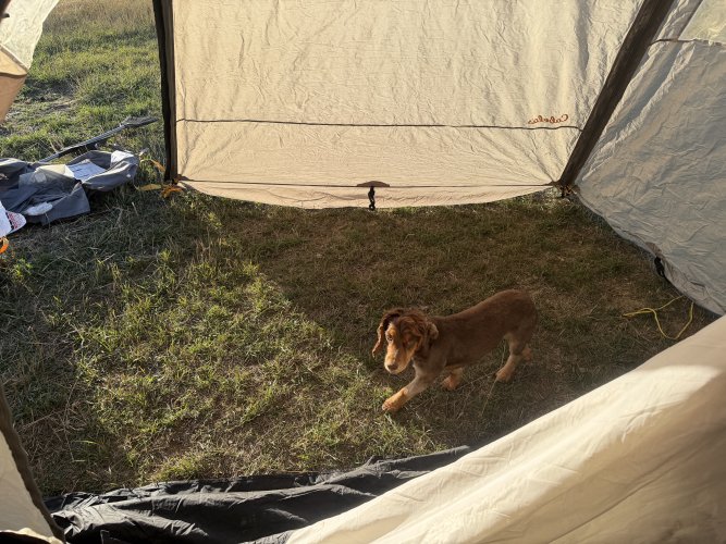 IMG_9587.jpeg