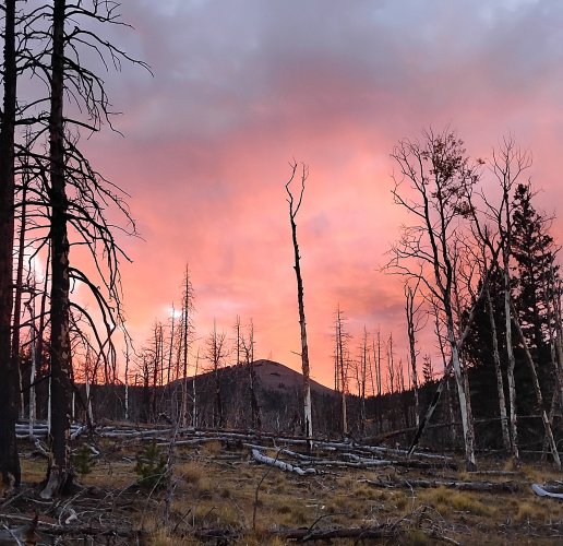 sunset pink elk club burn 10.26.jpg