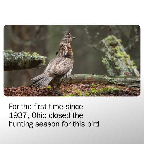 IMG_8599.png IMG_8599.png