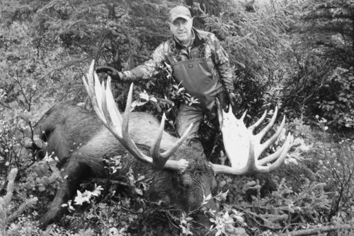 2016 Moose.jpg 2016 Moose.jpg